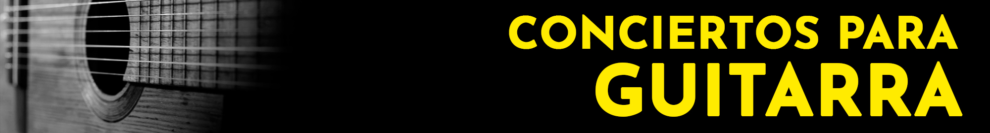 Banner de conciertos para guitarra