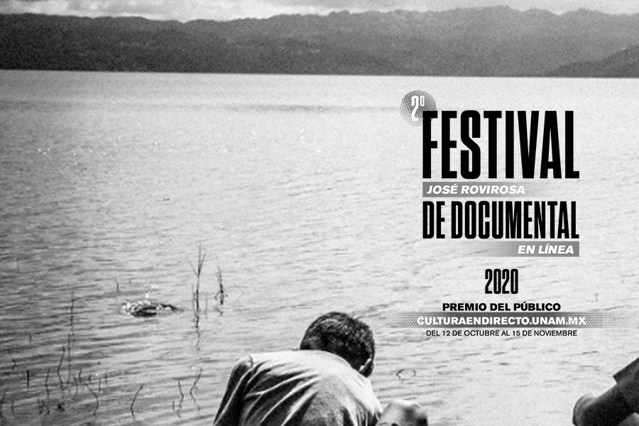 Del viaje al sur