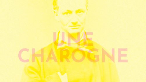 Une charogne