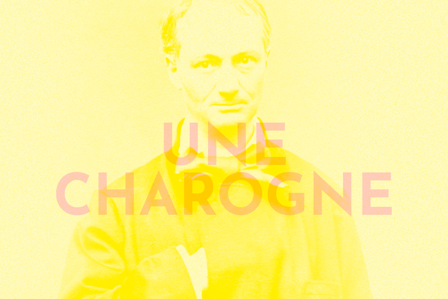 Une charogne