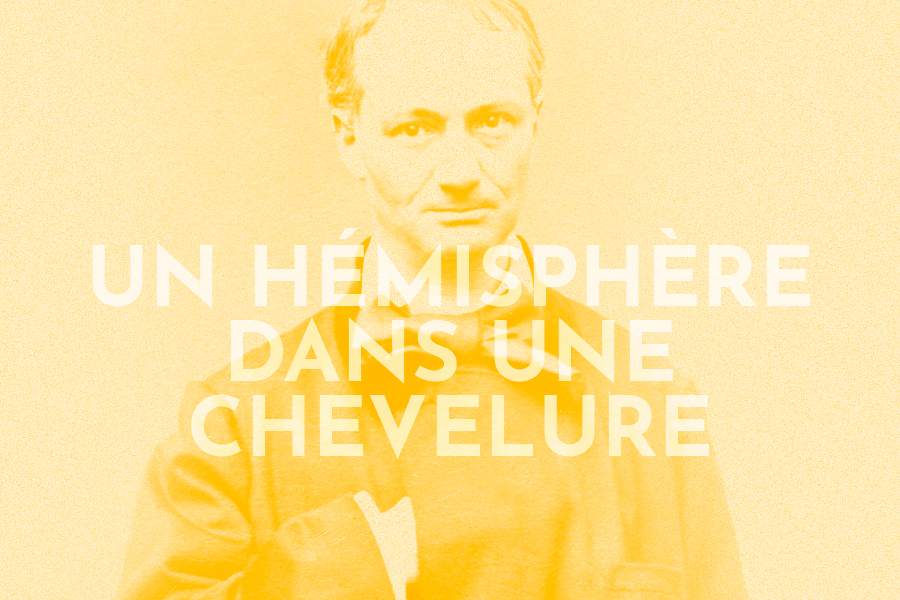 Un hémisphère dans une chevelure